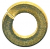 Fastenal 5/16 Lock Washer