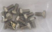 Hex Screw bag of 10