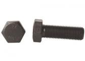 Body Mount Bolt