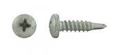 Phillips Drive Screw