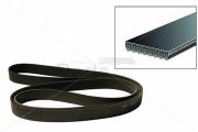 Serpentine Belt 8 Rib, 126.5 L